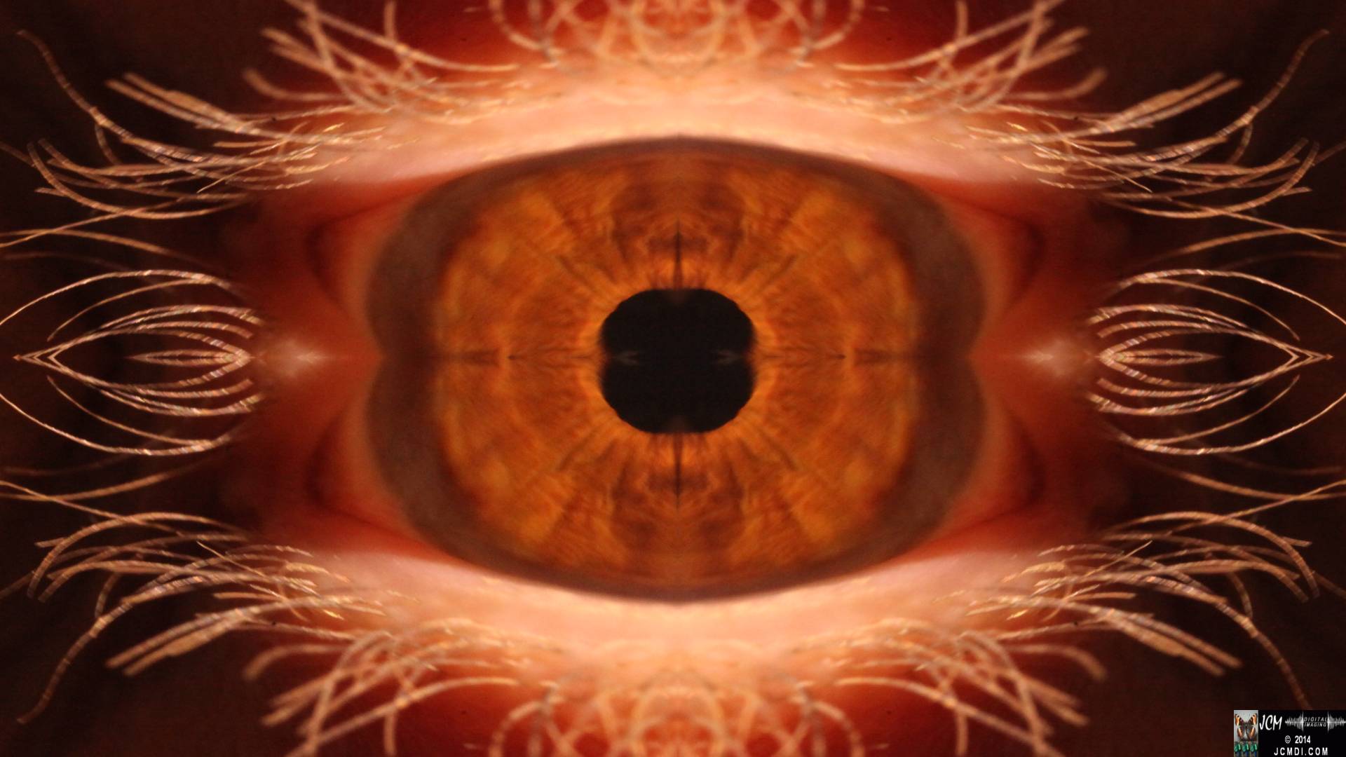 Quadroscopic Artwork made from an image of a real human eye